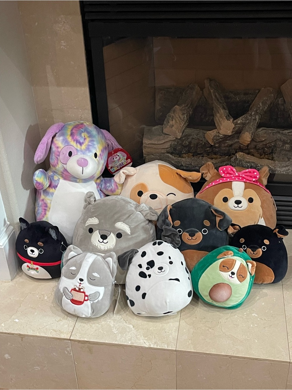 Lot of 10 Dog Squishmallows.